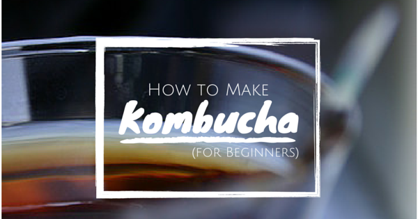 How To Make Kombucha For Beginners Herbalhacks How To Make Kombucha For Beginners Herbalhacks